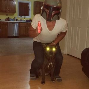 Meet your Posher, Brett